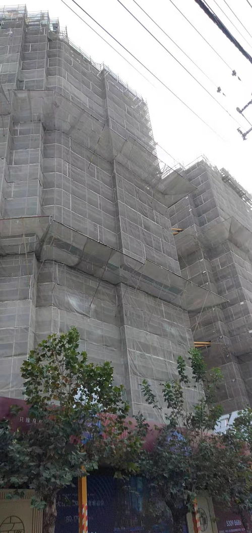 建筑建材企業(yè)商情 洞察市場脈搏，把握發(fā)展機(jī)遇